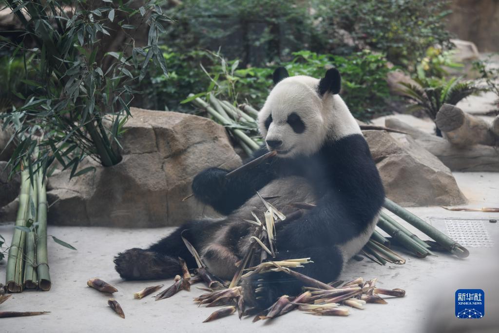威尼斯在线娱乐